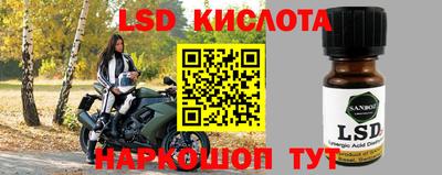 винт Будённовск