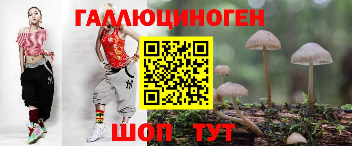 Галлюциногенные грибы прущие грибы Сланцы